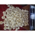 Loose Packing Fresh New Pure White Garlic